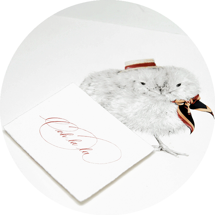 Hannah Cooper chicken realistic illustration with Ooh la la copperplate calligraphy